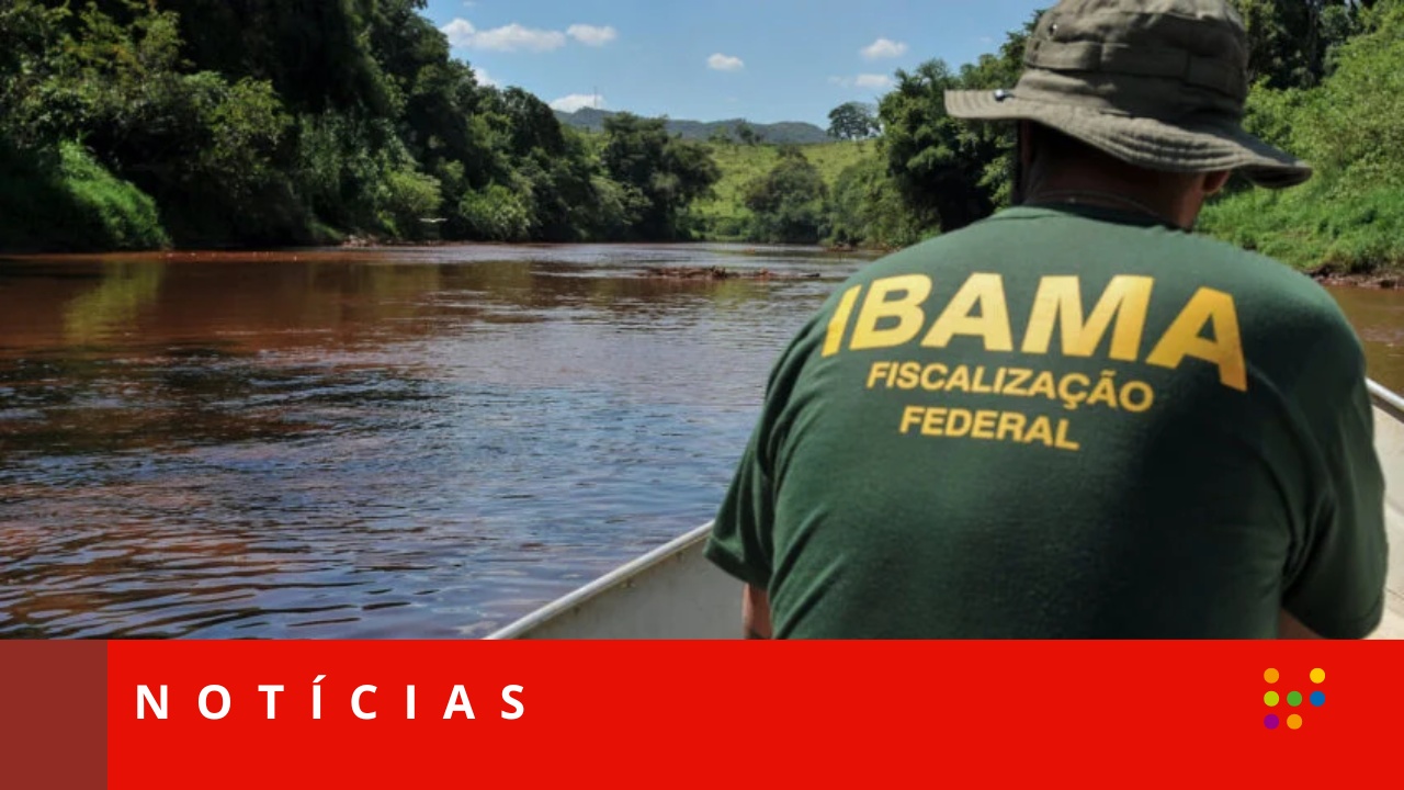 Imagem: (Análise Editorial/Felipe Werneck/Ibama)