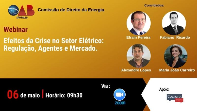 Webinar: Efeitos da crise no setor elétrico - Regulação, agentes e mercado